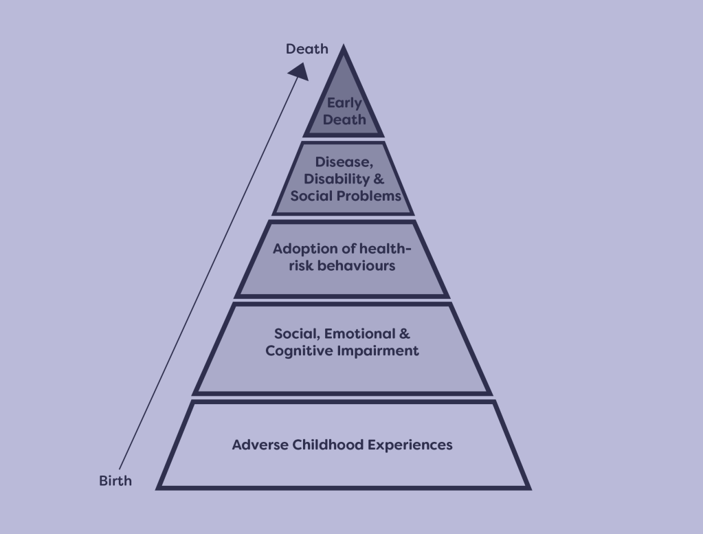 Trauma Triangle showing how ACEs impact life chances.